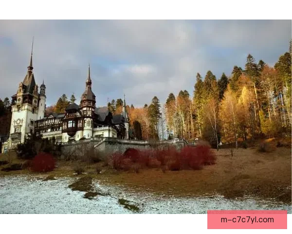 外媒称25岁罗马尼亚攻击手肯帕努租借加盟重庆铜梁龙